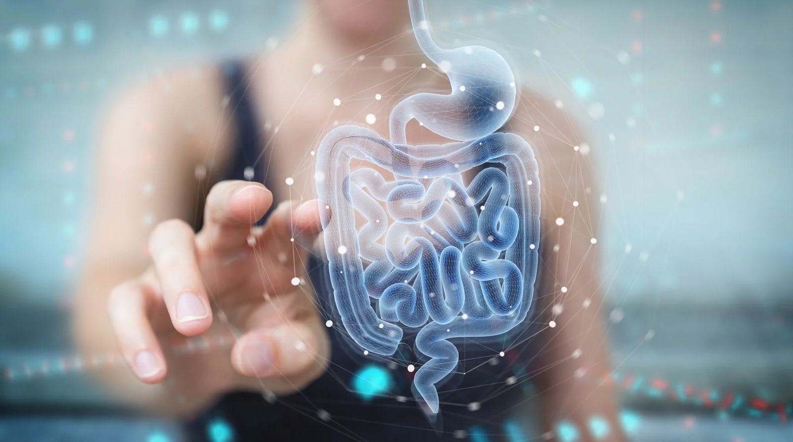 Gut and hormone optimization at Citrin Longevity in West Hollywood